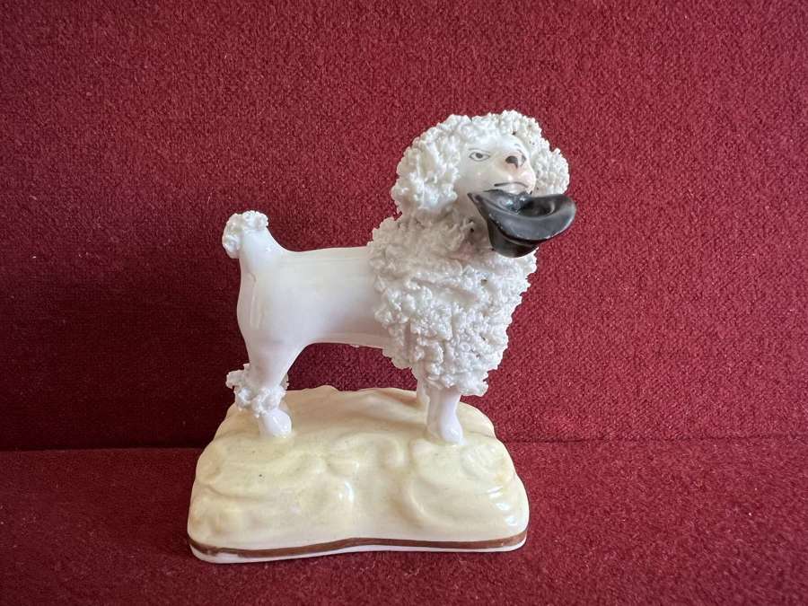 A rare Samuel Alcock porcelain model of a Poodle c.1830-1840