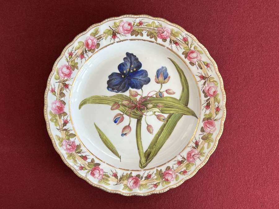 A Derby porcelain botanical plate decorated by William Billingsley