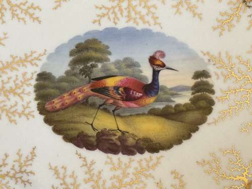 A Flight, Barr & Barr Worcester porcelain dessert dish c.1820