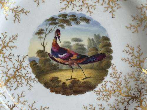 A Flight, Barr & Barr Worcester porcelain dessert plate c.1820