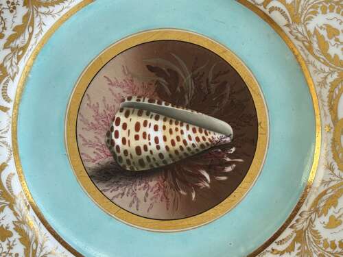 A fine Barr, Flight & Barr Worcester Porcelain plate c.1807-1813