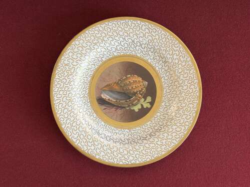 A Barr, Flight and Barr Worcester Porcelain Plate c.1807 - 1813