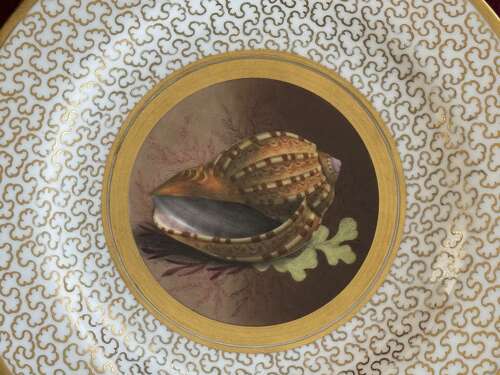A Barr, Flight and Barr Worcester Porcelain Plate c.1807 - 1813