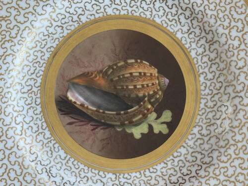 A Barr, Flight and Barr Worcester Porcelain Plate c.1807 - 1813