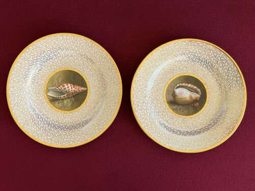 A superb pair of Barr, Flight and Barr Worcester Porcelain Plates c.1807-13